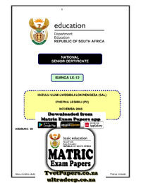 2008pp IsiZulu SAL P2 Memo Nov 2008.pdf